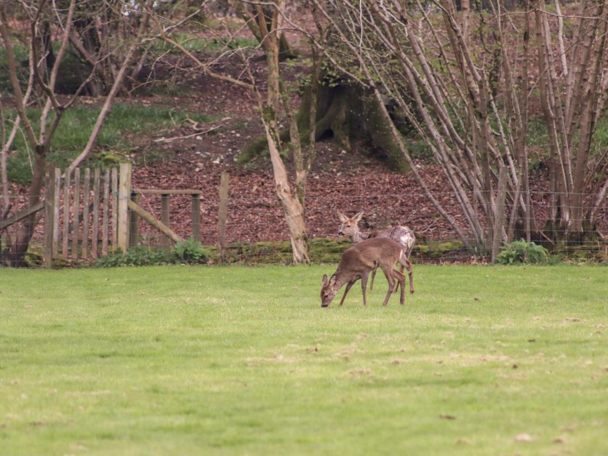 Deer Lodge Wimborne Minster Luaran gambar
